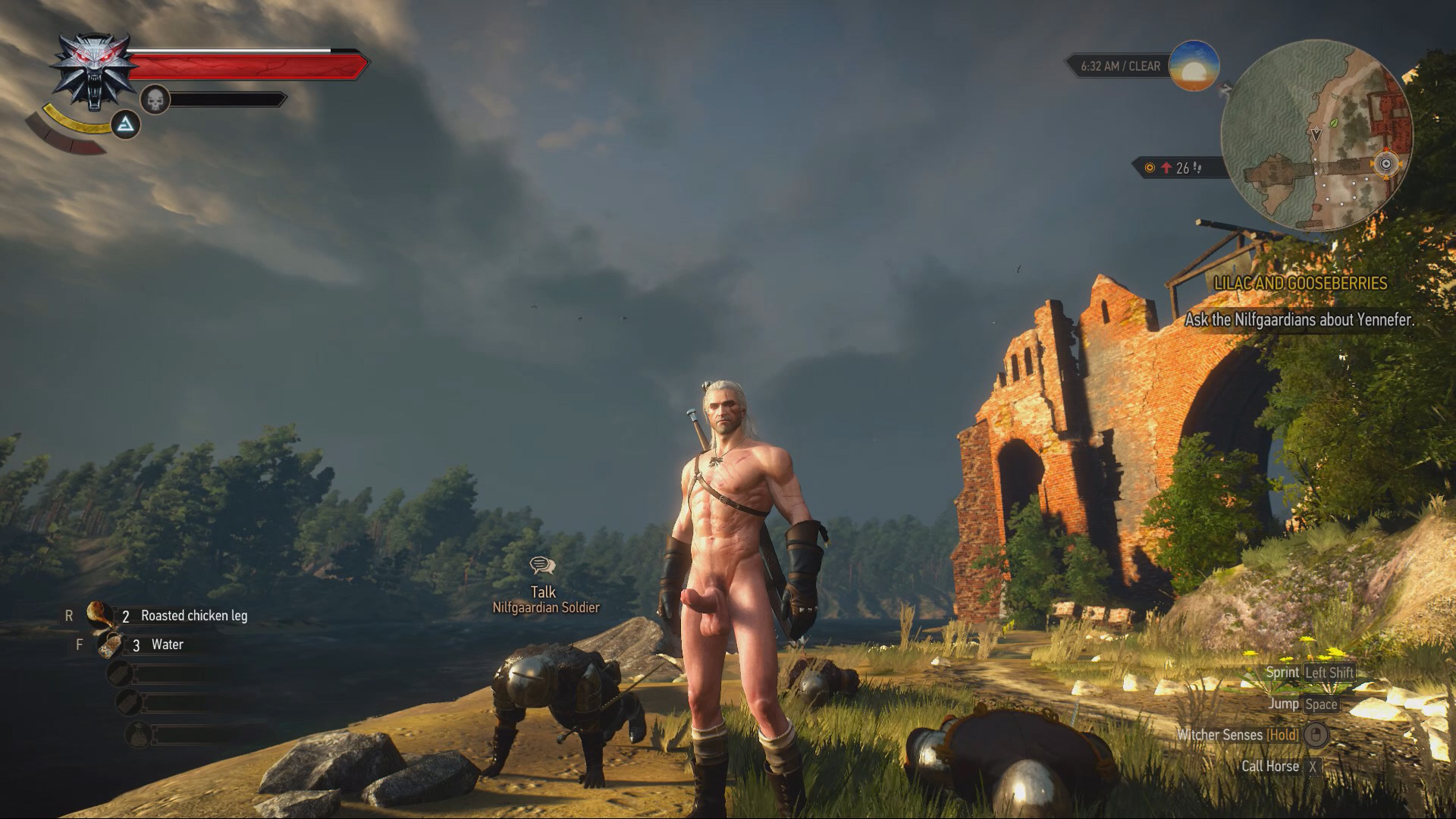Witcher 3 The Wild Nudity Project