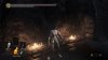 Nude female character (rear view), Dark Souls III with the mod