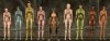 The Elder Scrolls III: Morrowind с nude-патчем, голые девушки всех рас
